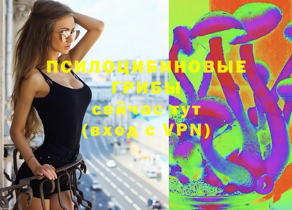 прущий лед Аркадак